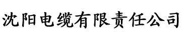 点播影院电缆厂logo